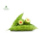 Bitter Guard (karela) [करेला]