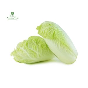 Chinese Cabbage [Napa Cabbage]