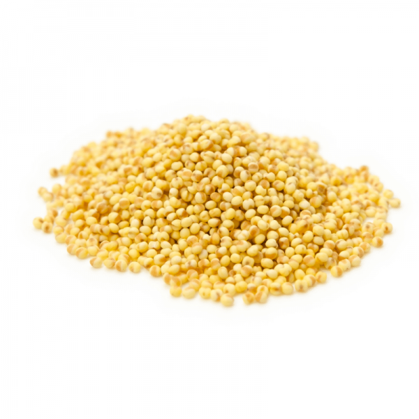 Foxtail Millet