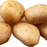 Potato