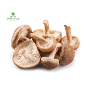Shiitake Mushroom [सिताके च्याउ]