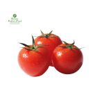Tomato Big [ठुलो टमाटर]