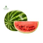 Watermelon (Around 2.5 KG) [खर्बुजा] 1Pcs