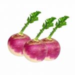 turnip