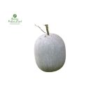 Ash Gourd [Kubindo] (5-8 KG) 1 Pcs