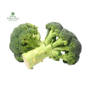 Broccoli [ब्रोकाउलि]