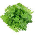 Buy Coriander in Nepal