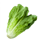 Buy Lettuce Online in Nepal