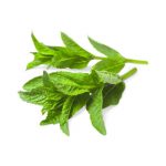 Buy Mint Online in Nepal