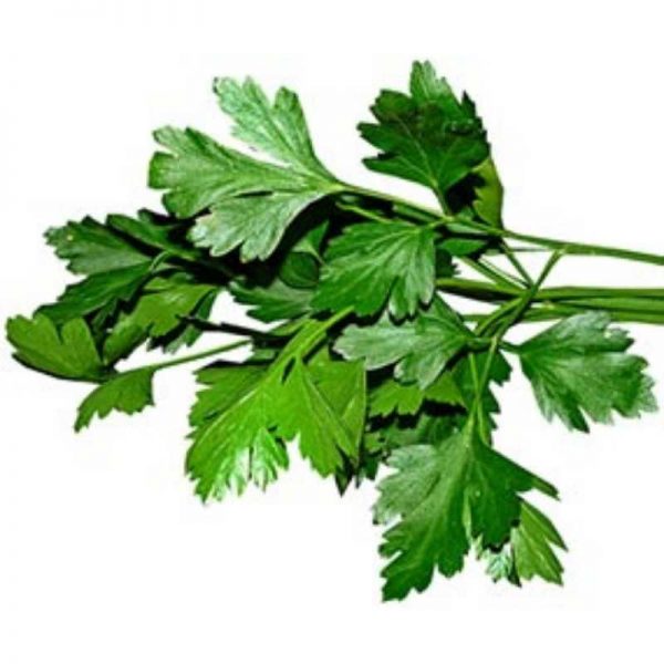 Buy Parsley Online in Nepal