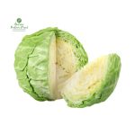 Cabbage [बन्दा]