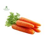Carrot [गाँजर]