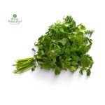 Coriander [धनीयाँ] Thulo Mutha 150-200GM