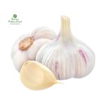 Garlic [लसुन]