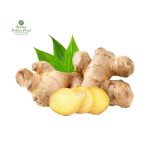 Ginger [अदुवा]