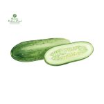Local Cucumber [लोकल काँक्रो]
