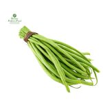 Long Beans(Green Beans) [तने बोडी]