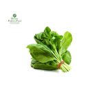 Palak [पालक]