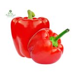 Red Capsicum [Red Bell Pepper]