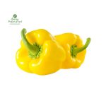Yellow Capsicum [Yellow Bell Pepper]