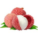 Lychee [लिच्चि] Litchi > Leafless [पात र डाँठ नभएको] Nepali
