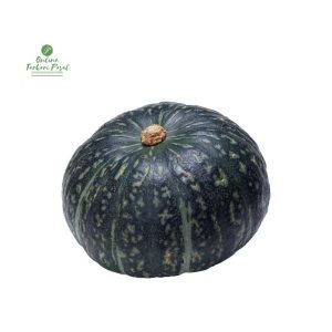 Green Pumpkin (Hariyo Farsi) [हरियो फर्सी] Squash