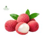 Lychee [लिच्चि] Litchi > Leafless [पात र डाँठ नभएको]