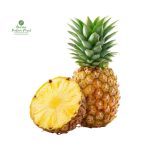 Pineapple (1PC) [भुइँकटर]