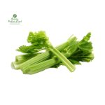 Celery [Mutha] 100-150GM