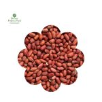 Peanut [नेपाली कँचो बदाम]