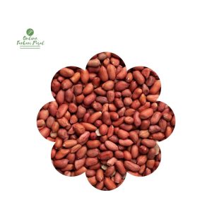 Peanut [नेपाली कँचो बदाम]