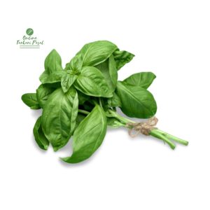 Basil [Tulsi] 150-200GM