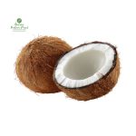 Coconut [नरिवल] 1 Pcs