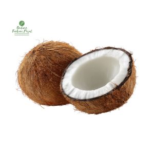 Coconut [नरिवल] 1 Pcs