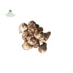 Cocoyam (Pidalu) [ पिडालु ]
