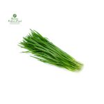 Green Garlic [हरियो लसुन] 300-500GM