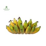 Malvak Banana [माल्बा केरा]