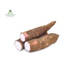 Cassava [Tarul] [तरुल]