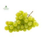 Green Grape (अङ्गुर)