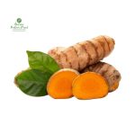 Turmeric [बेसार] काँचो