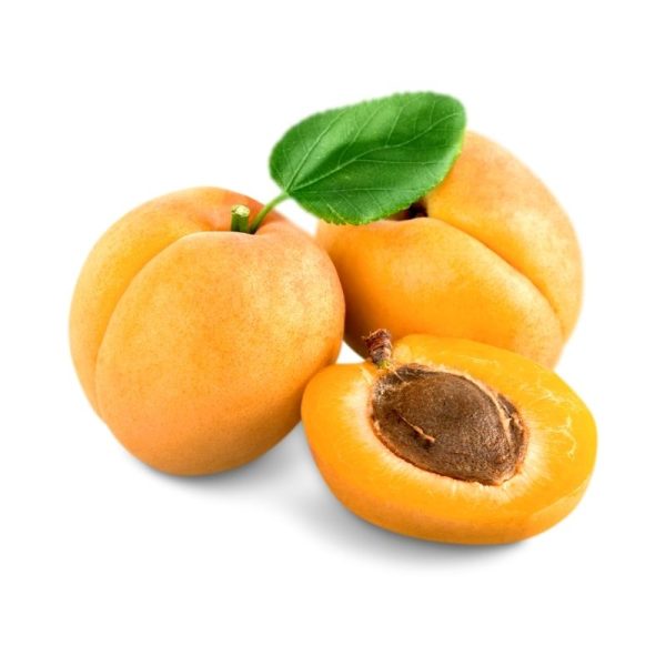 Apricot