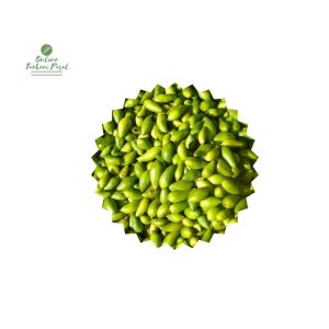 Balsam Apple [ Barelaa ] बरेला