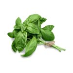 Basil Buy Online