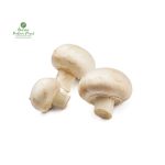 Button Mushroom (Round) [च्याउ]