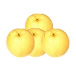 Chinese Pear