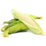 Buy Green Maize in Nepal