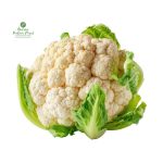 Cauliflower [काउलि]