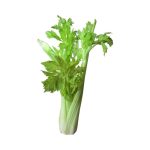 Celery in Nepal