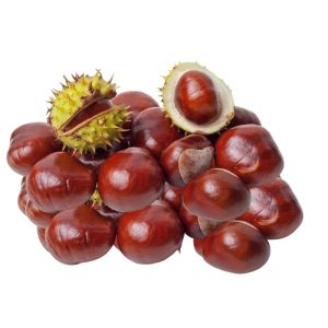 Chestnut [कटुस]