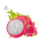 Dragon Fruit [ड्रागन फ्रुट] White